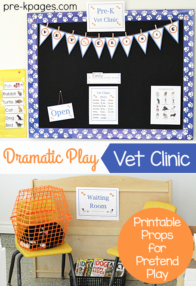 vet pretend play