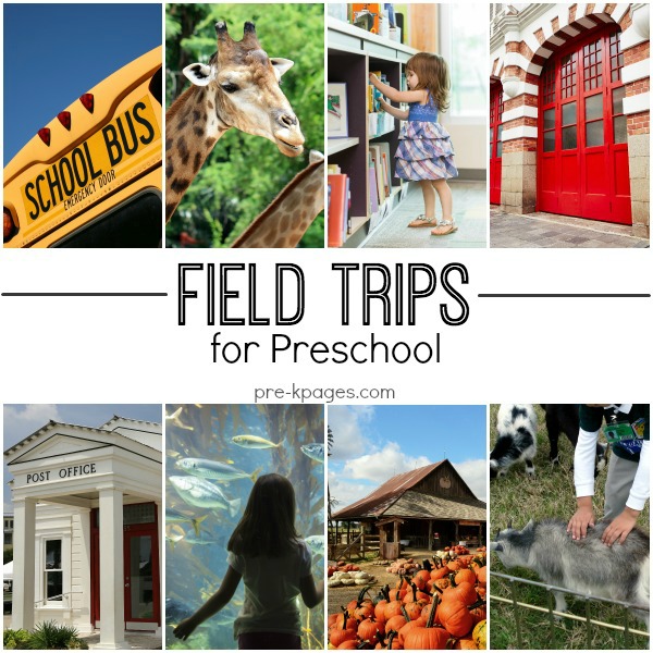 field trip ideas for preschoolers