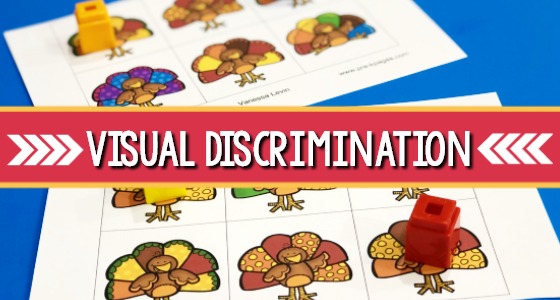 Thanksgiving Visual Discrimination Activity