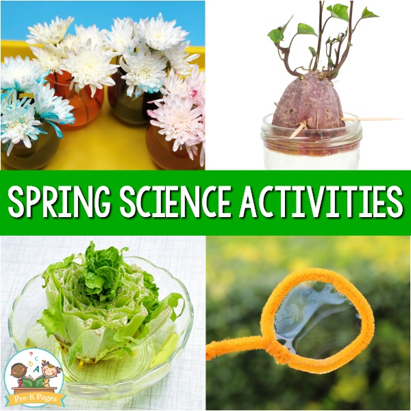 Spring Science Activities for Preschoolers