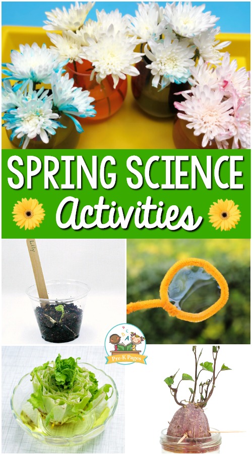 spring-science-activities-for-preschoolers