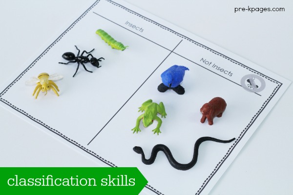 printable-insect-classification-activity