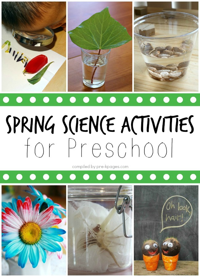 Spring Science Activities For Preschoolers