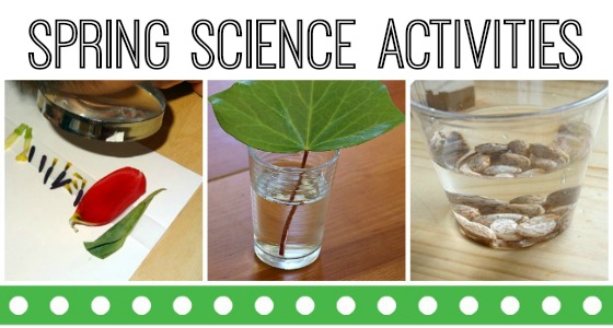 Spring Science Activities for Preschoolers