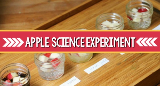 Apple Science Experiment