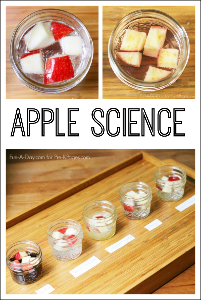 Apple Science Experiment For Preschool