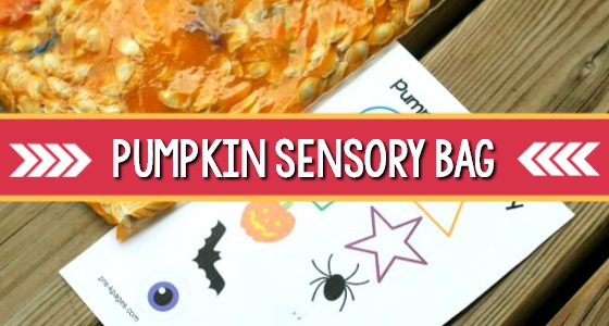 pumpkin sensory bag