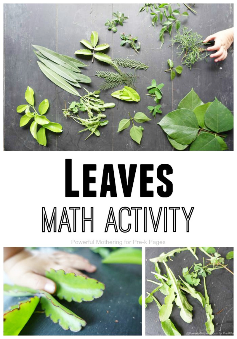 Leaves Nature Math Activity for Preschool