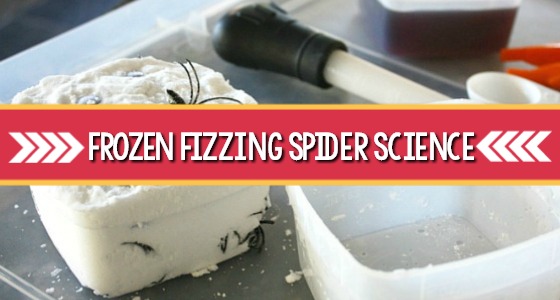 Frozen Fizzing Spider Science
