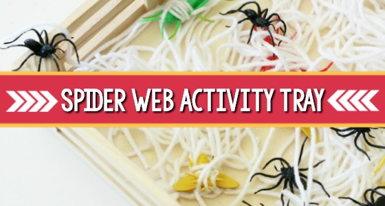 Spider Web Activity Tray