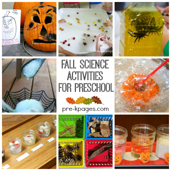 fall-science-activities-for-preschool