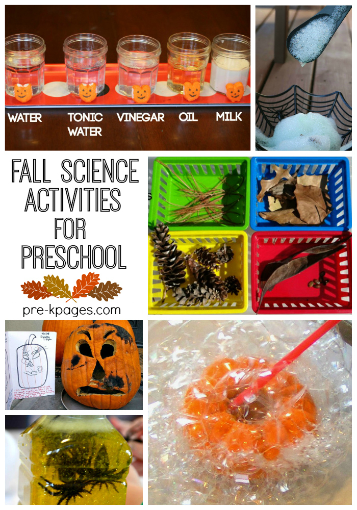 fall-science-activities-for-preschool