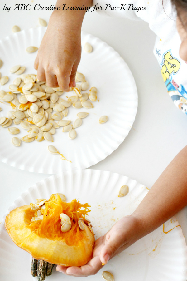 child removing seeds from top of pumpkin