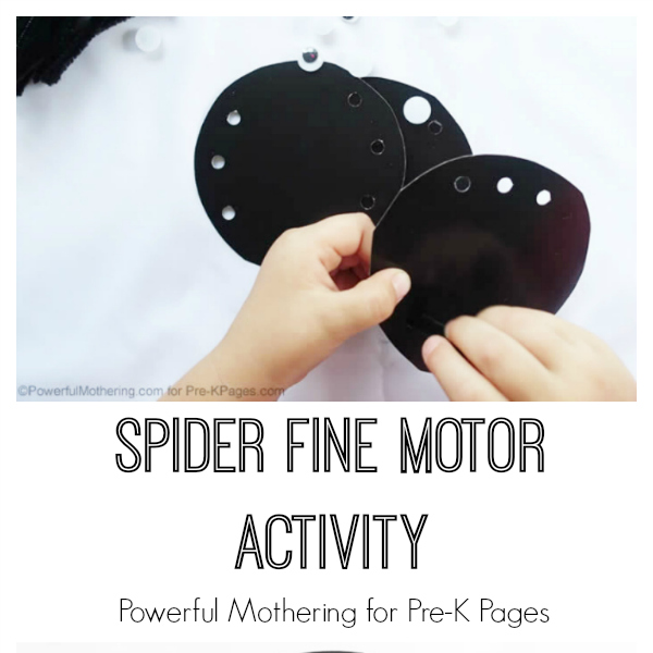 spider fine motor activity