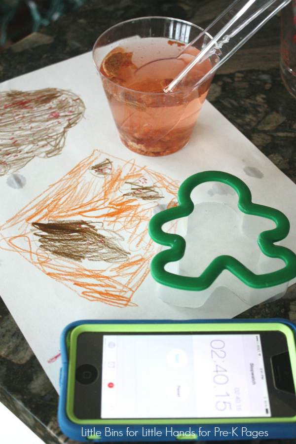 gingerbread-man-science-activity-for-preschool-pre-k-pages