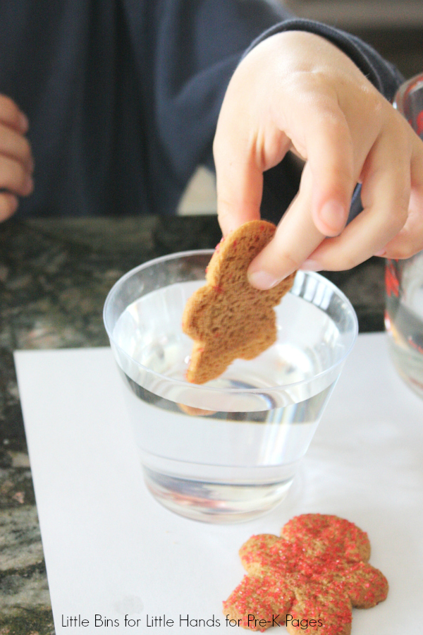 gingerbread-man-science-activity-for-preschool-pre-k-pages