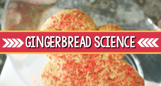 Gingerbread Science Experiment