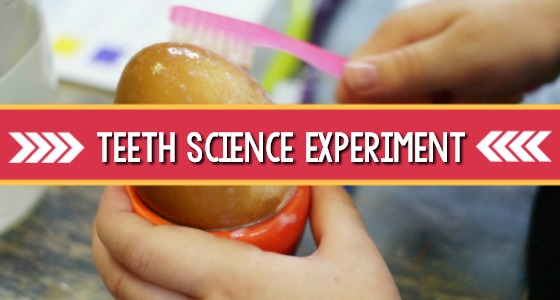 Dental Health Science Teeth Experiment