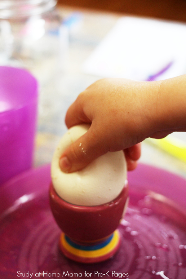 healthy teeth egg experiment