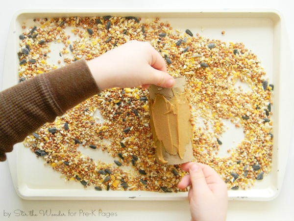 Make A Peanut Butter Bird Feeder And Observe Birds Pre K Pages