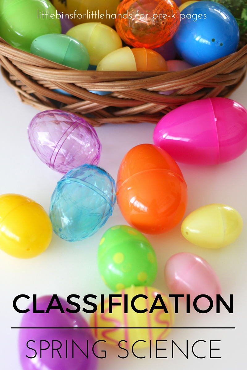 Spring Classification Science Activity - Pre-K Pages