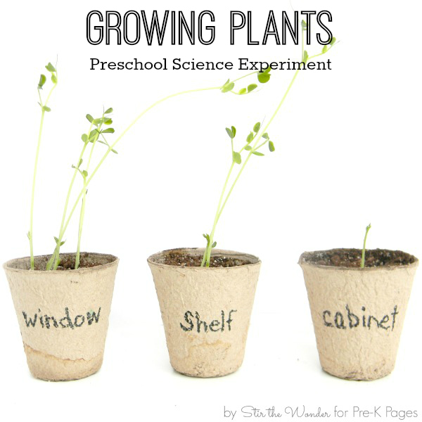 Image result for plant science experiments