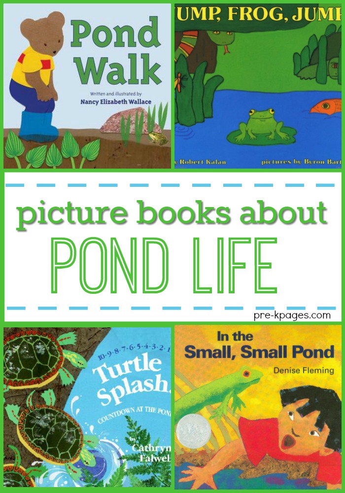 Picture Books About Pond Life for Preschoolers - Kindergarten Story Books