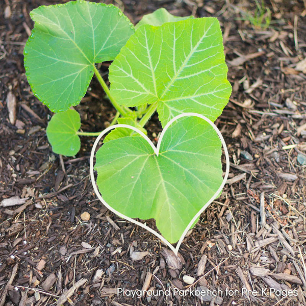 nature shape hunt heart leaf