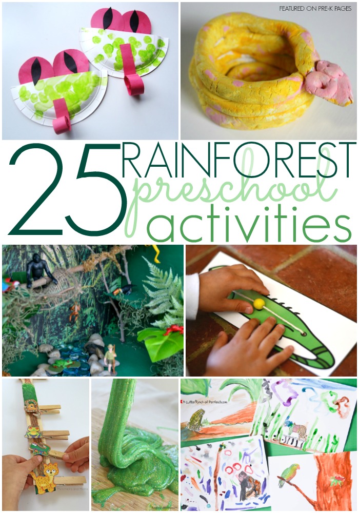 rainforest activities for preschoolers pre k pages