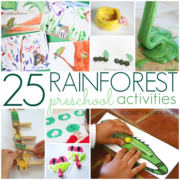 Rainforest Activities For Preschoolers Pre K Pages