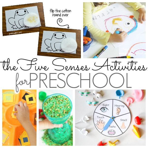 Five Senses Activities For Kindergarten