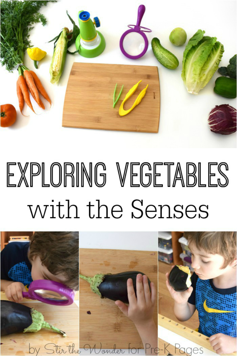 Science for Kids: Exploring Vegetables with the Senses ...