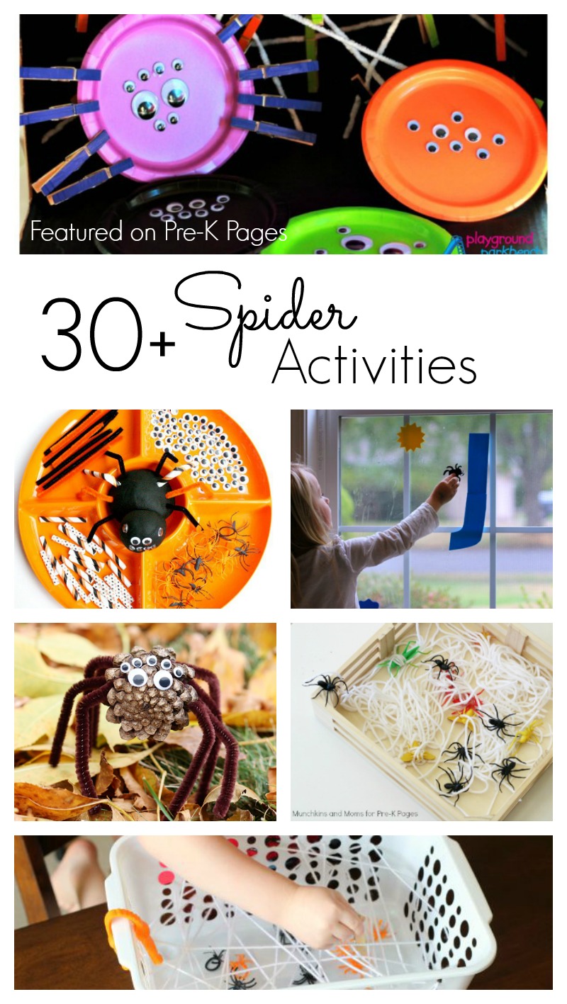 30 Spider Activities For Preschool (Perfect For Fall Or Halloween!)