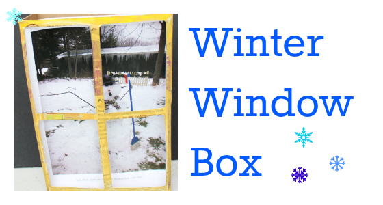 Winter Window Box
