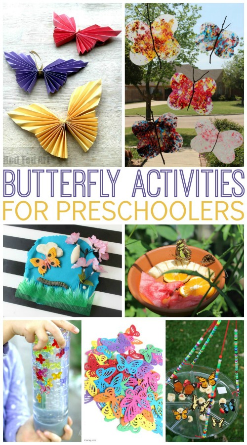 Butterfly Preschool Theme