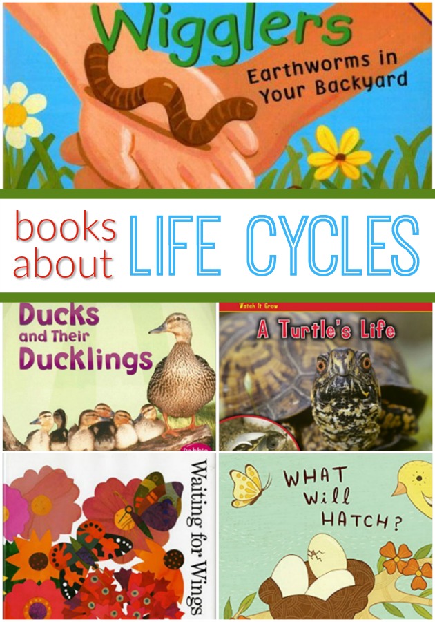 Animal Life Cycle Books Pre K Pages