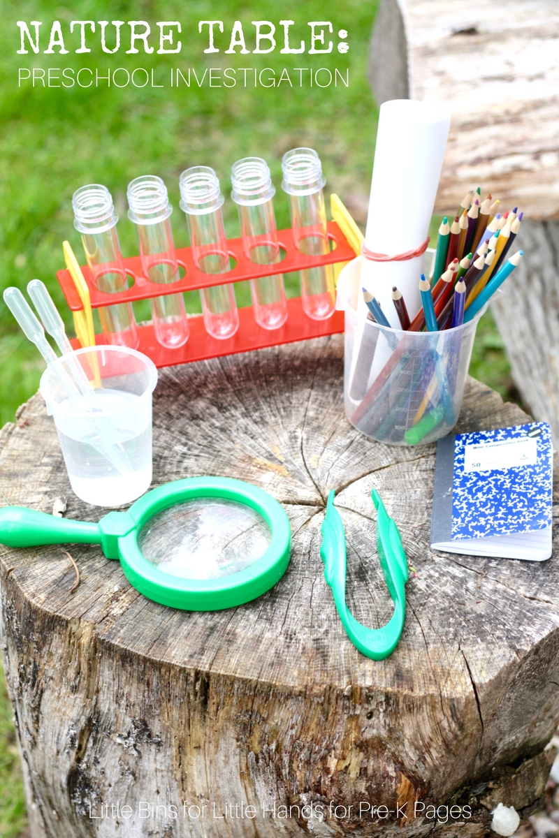 science-for-kids-nature-investigation-table-pre-k-pages