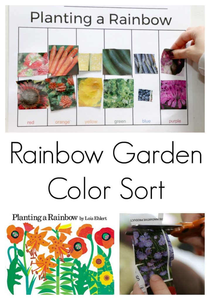 Planting a Rainbow Color Sort - Pre-K Pages
