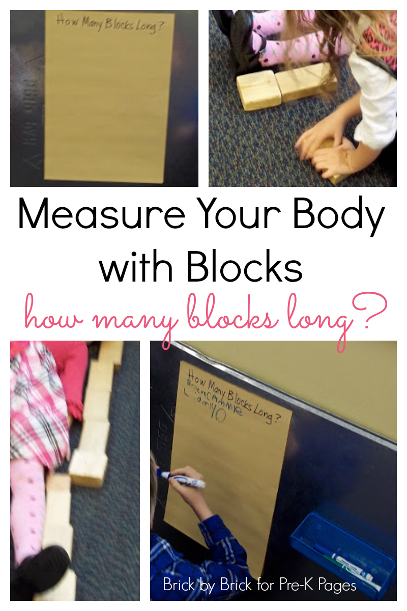 Measure Your Body With Blocks Pre K Pages