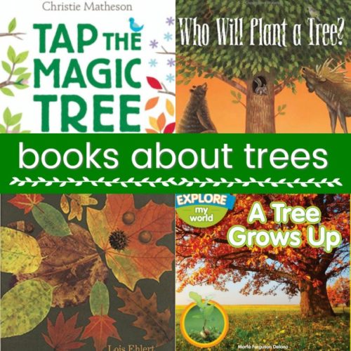 Books About Trees for Preschoolers PreK Pages