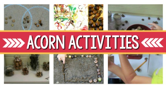 Acorn Activities for preschool