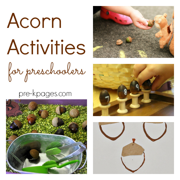 acorn activities pre-k fall autumn