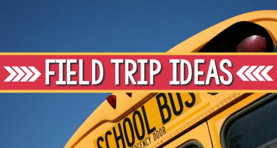 Field Trip Ideas For Preschool And Kindergarten