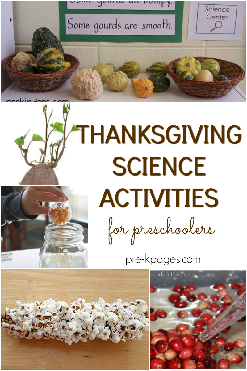 thanksgiving-science-activities-for-preschoolers-pre-k-pages