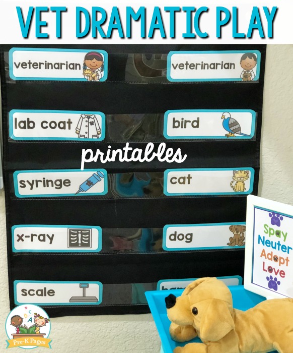 play veterinarian kit