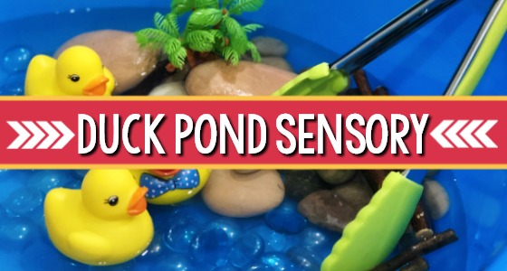 Duck Pond Sensory Bin for Preschool