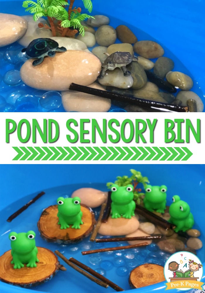 Frog Sensory Bin For Preschool Pre K Pages