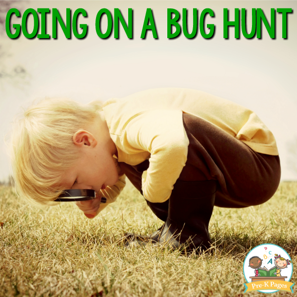 Going on a Bug Hunt with Kids