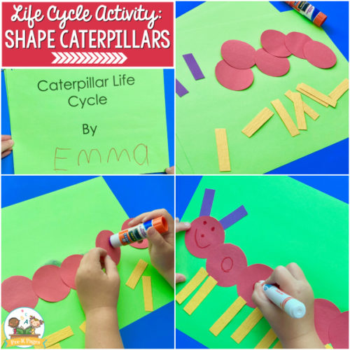 Caterpillar and Butterfly Life Cycle Art Activity: Shape Caterpillars - Pre-K Pages