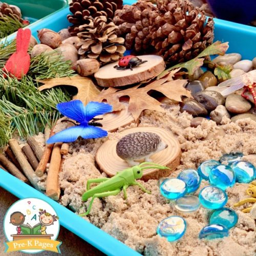 Forest Theme Sensory Bin for Preschool - Pre-K Pages